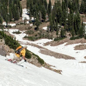 fixed the summer cravings today