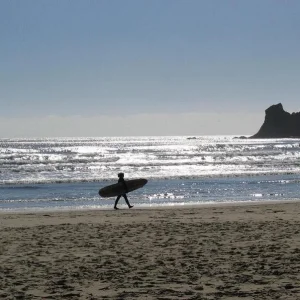 surfing at ski camp?!