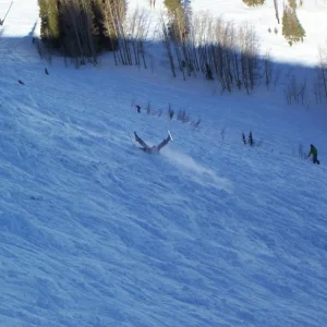 Ouch... but HA HA HA