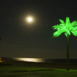 Michigan Palm Trees.
