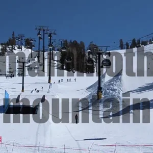 Don't trust the dragon