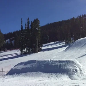 The Infamous Backflip