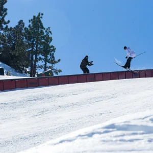 Jonah Williams at Bear