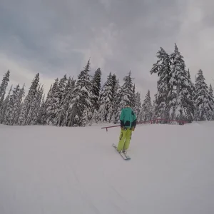 Skiing Wired: Pole Less