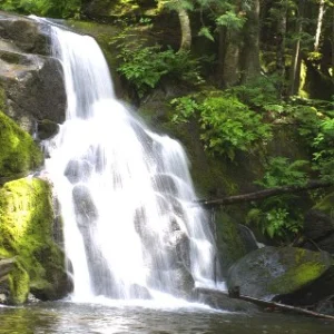 Woosh[ing sounds of water]