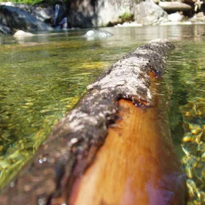 river log