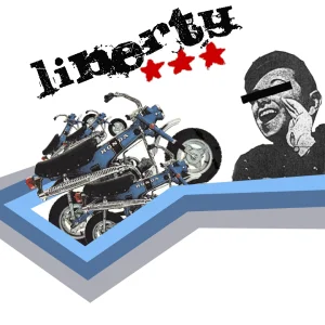 PICTURE THIS ON A T SHIRT