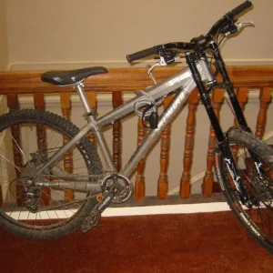 money hole of the summer