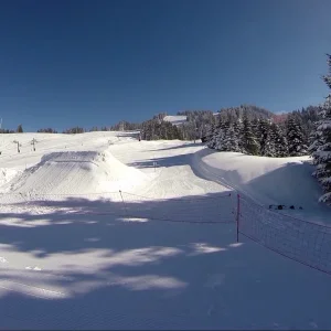 Double Flip S**t Whip