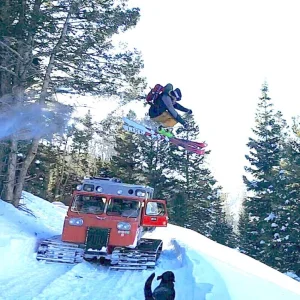 exploration bonus: gap over cat and dog