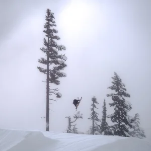 Sw 7 Octo on a Foggy Day