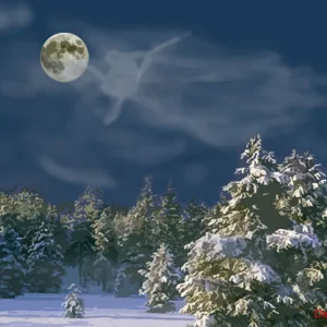 its that time of the year again....