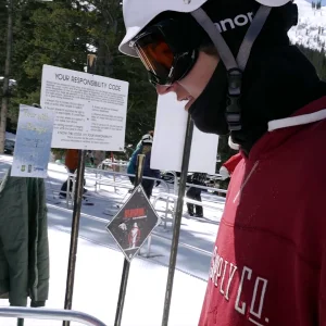 Wearland Collective : Brighton Edition 2  