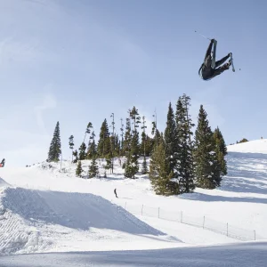 Double Nose // Robby Wheeler