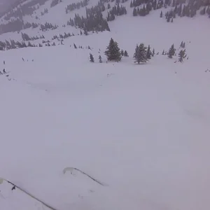 --Tough Job: IFSA Judge--