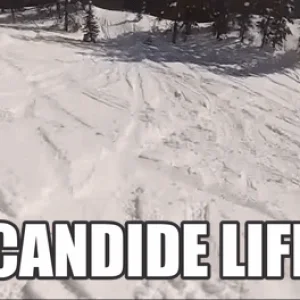 Candide Life