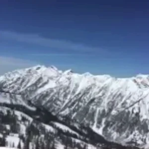 Don't Stop Me Now // Jamison Tidwell