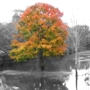 aftermath of a week long rainstorm
