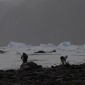 frozen lake and frozen icebergs