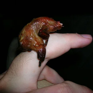 Fingermeat