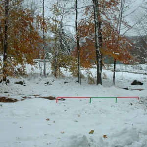 THE SNOW ATE MY RAIL!!!