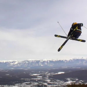 senic mute grab (old)