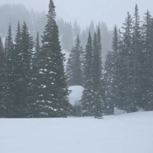 04-05 season, overnight snow on a cabin roof
