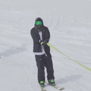 hyllengren X whatever