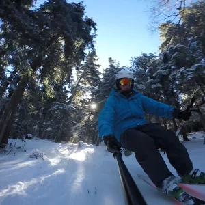 Killington Tree Action