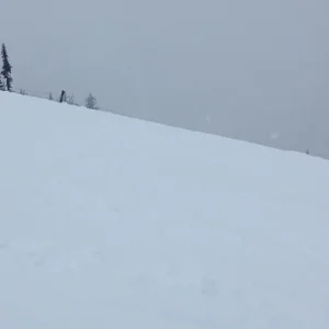 Every time I'm in the street I hear...