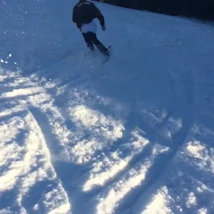 Turkey Shred