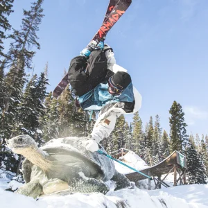 Cody Ray // I Like Turtles 