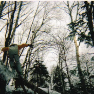 Tree grinding thingy