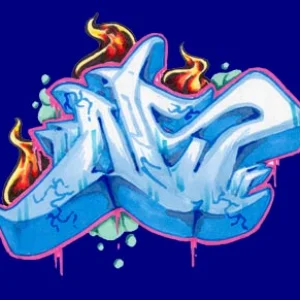 Old NS Logo