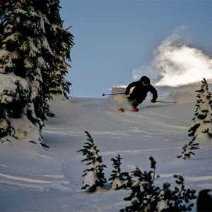 freshies on the tail