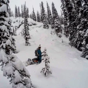 Scoping Pillow Lines 