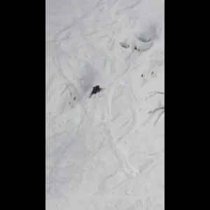 Iphone edits part 2 (niseko, japan)