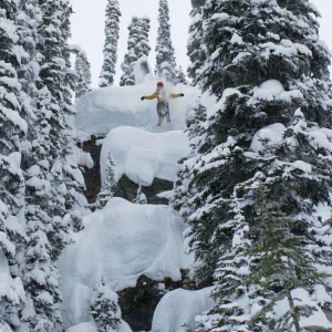 Soft-Snow Made Me Do It