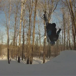 Layed Out Backyard Backy