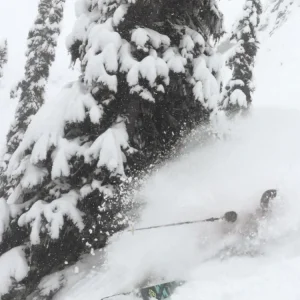 Always with the spring pow