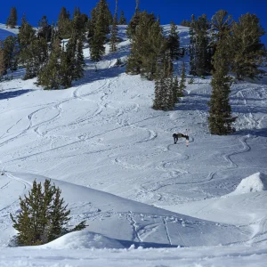 Pyramid Gap Front Flip
