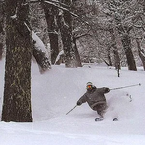 argentinian skier (powder)