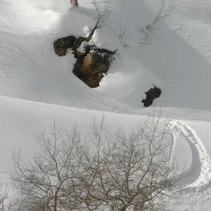 Mellow little drop we found in the Brighton Backcountry