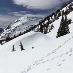 Smeegs eats a knuckle sandwich at Pyramid Gap