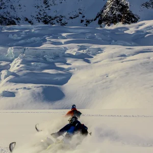 yardin on up with the yard dogs