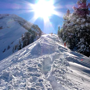 the most delicious sight in the world.