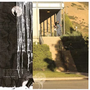 rollerblading 12 flat 14 disaster