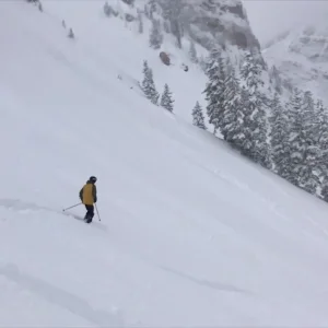 Alta 2016/17 Season 