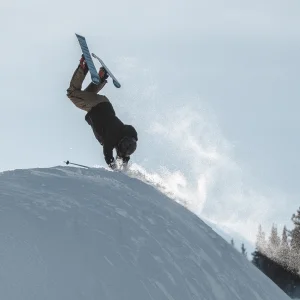 hand drag over the whale