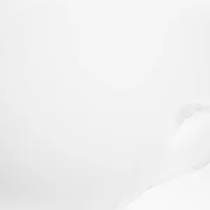 Whiteout